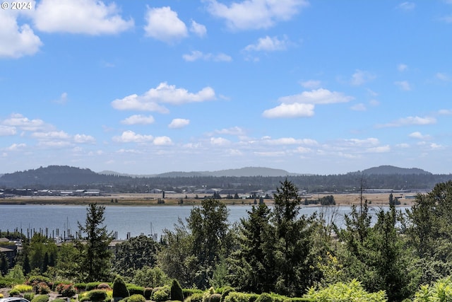 property view of mountains with a water view