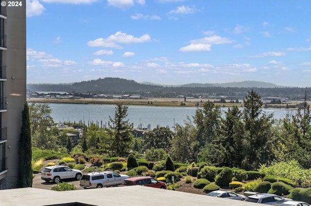 view of water feature with a mountain view