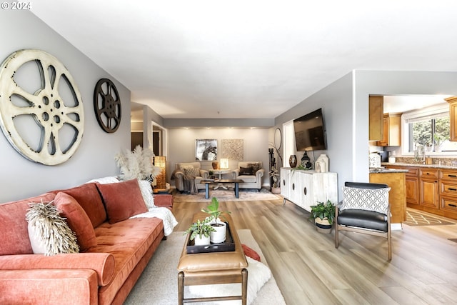 living room featuring light wood-type flooring