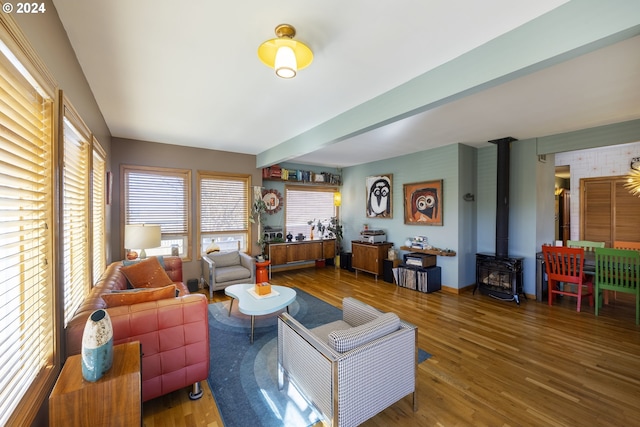 living room with hardwood / wood-style flooring and a wood stove