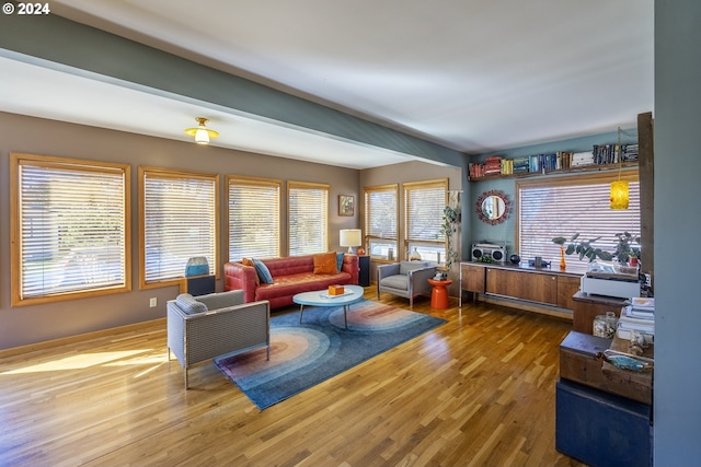 living room with plenty of natural light and wood-type flooring