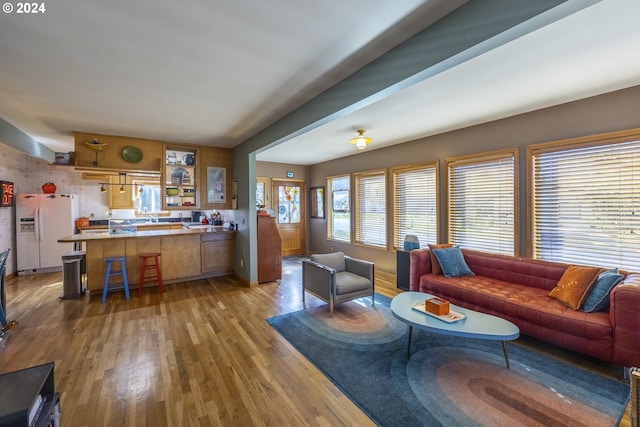 living room featuring wood-type flooring