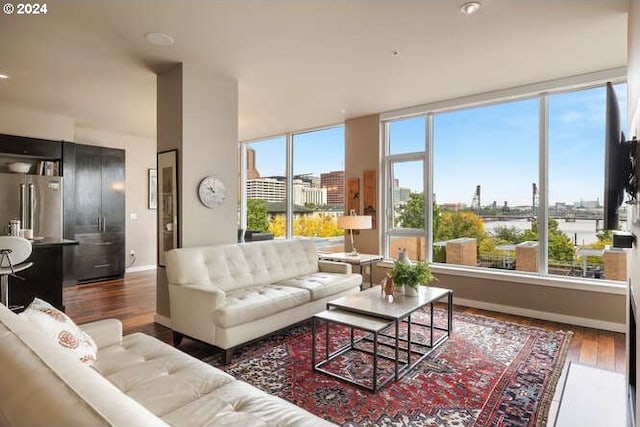 living room featuring dark hardwood / wood-style flooring