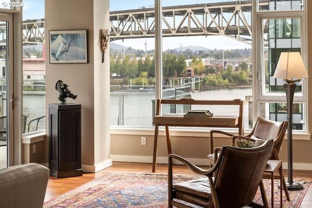 living area with a wealth of natural light and hardwood / wood-style flooring