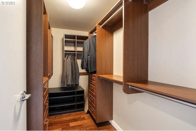 walk in closet featuring dark hardwood / wood-style floors