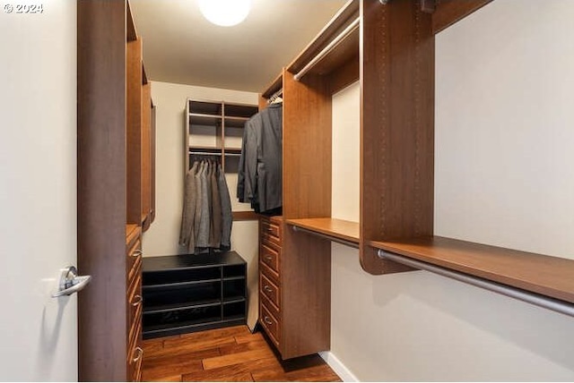 spacious closet with dark wood-type flooring