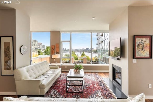 living room featuring hardwood / wood-style floors