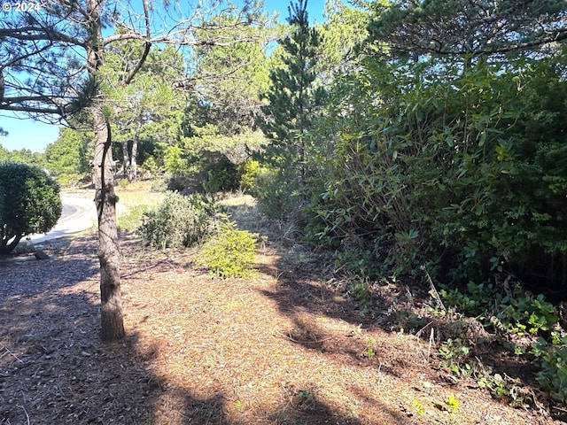 Sailors Ravine Ct, Florence, OR 97439