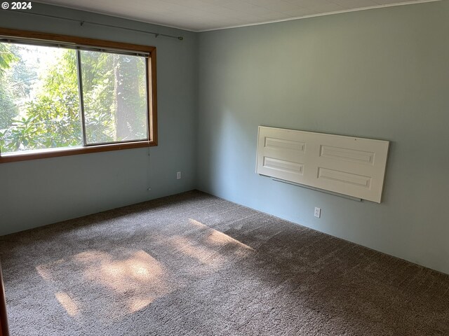 87535 Tiernan Rd, Mapleton, OR 97453 - view of carpeted spare room
