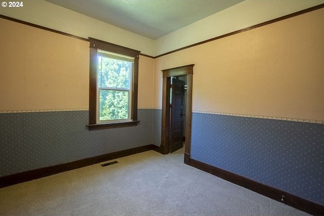 spare room with carpet flooring