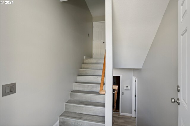 stairway with wood-type flooring