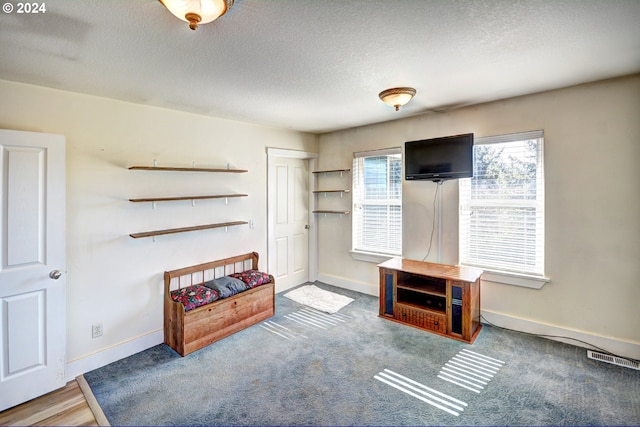 misc room featuring a textured ceiling and carpet