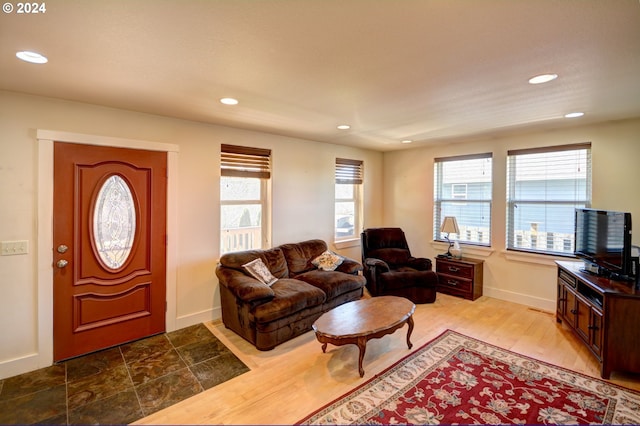 living room with wood-type flooring