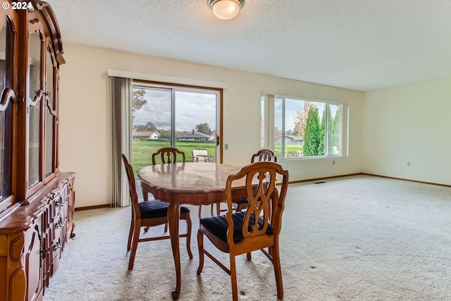 carpeted dining space with a textured ceiling