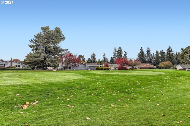 view of home's community with a lawn