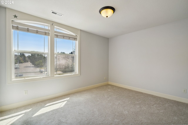 carpeted spare room featuring a wealth of natural light