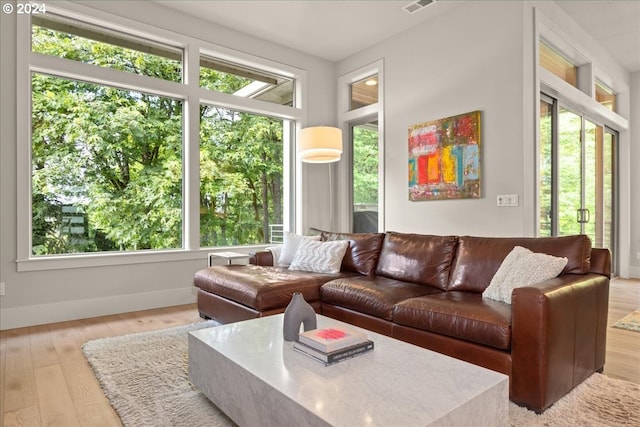 living room featuring a healthy amount of sunlight and light wood-type flooring