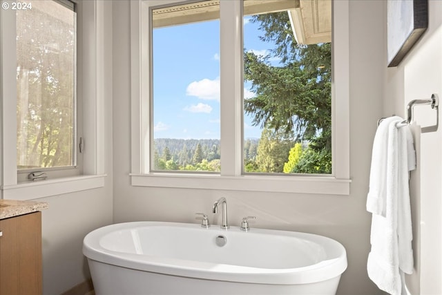 bathroom with a bath and vanity