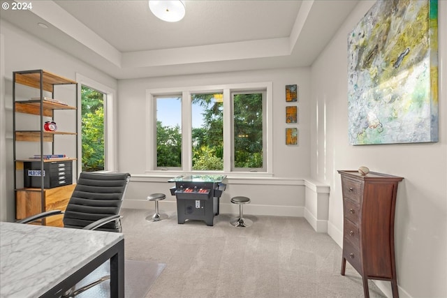 carpeted home office featuring a raised ceiling