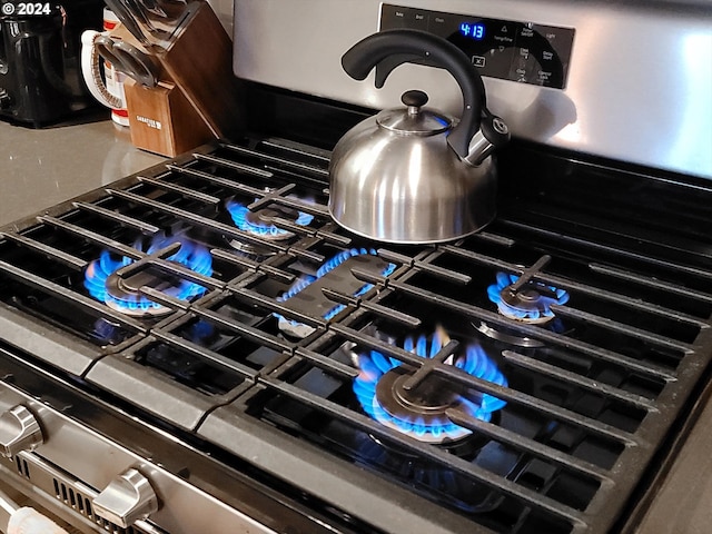 interior details with stainless steel gas stove