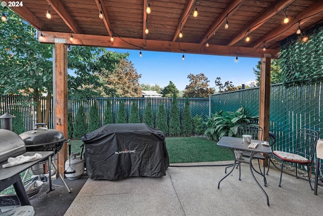 view of patio / terrace with grilling area