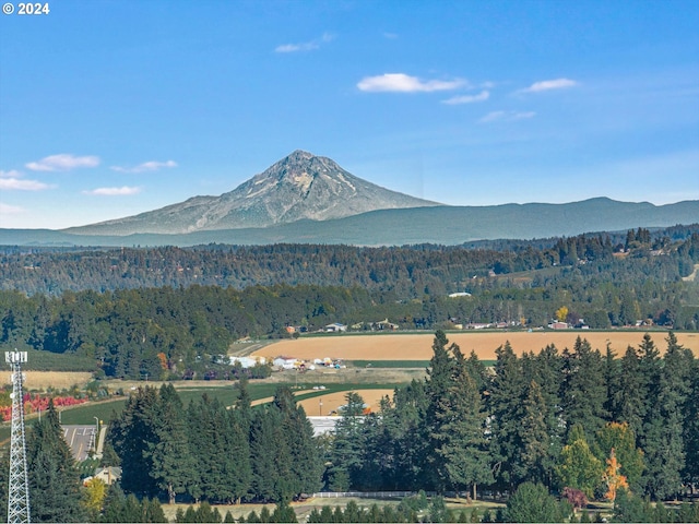 property view of mountains