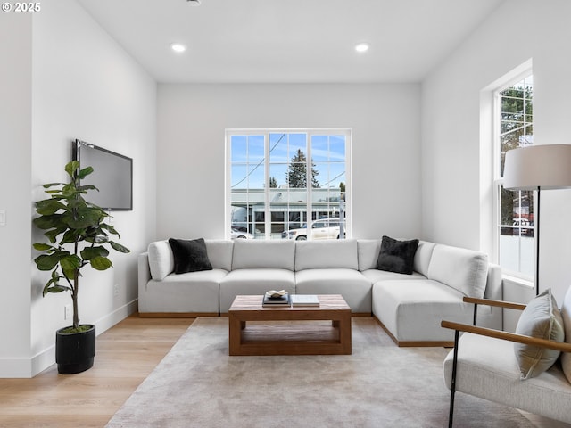 living room featuring light hardwood / wood-style flooring