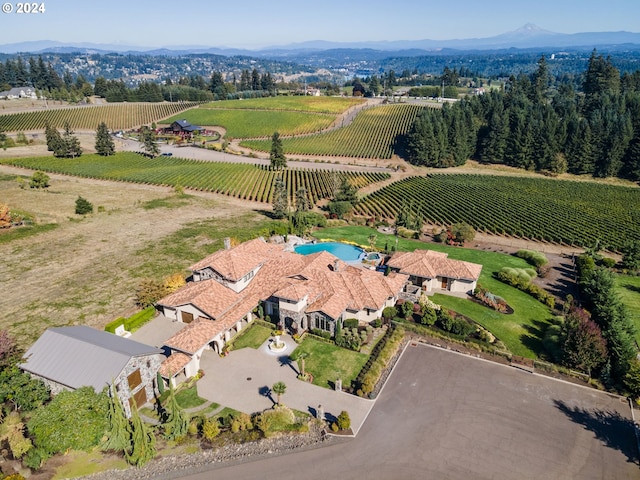 birds eye view of property featuring a mountain view and a rural view