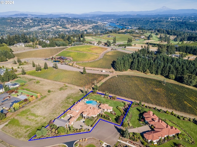 26590 SW French Oak Dr, West Linn, OR 97068 - bird's eye view featuring a mountain view and a rural view