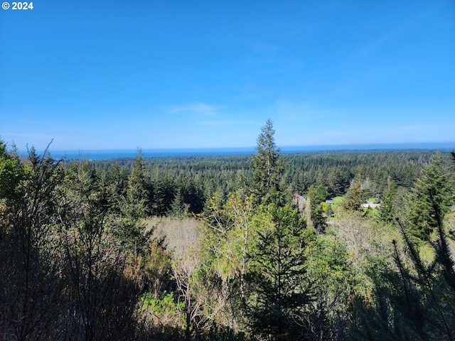 Linn Ln, Port Orford OR, 97465 land for sale