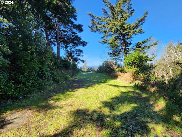 Listing photo 3 for Linn Ln, Port Orford OR 97465