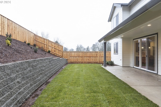 view of yard featuring a patio