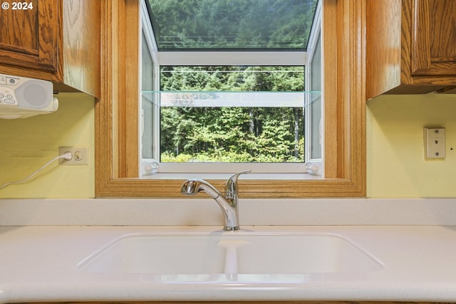 interior details featuring sink