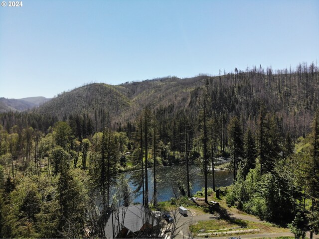 49513 Mckenzie Hwy, Vida, OR 97488