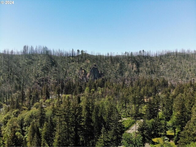 49513 Mckenzie Hwy, Vida, OR 97488