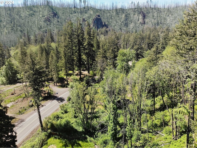 49513 Mckenzie Hwy, Vida, OR 97488