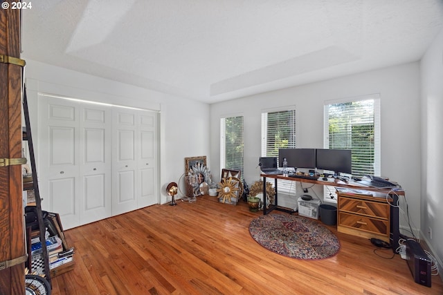 office featuring a textured ceiling and hardwood / wood-style flooring