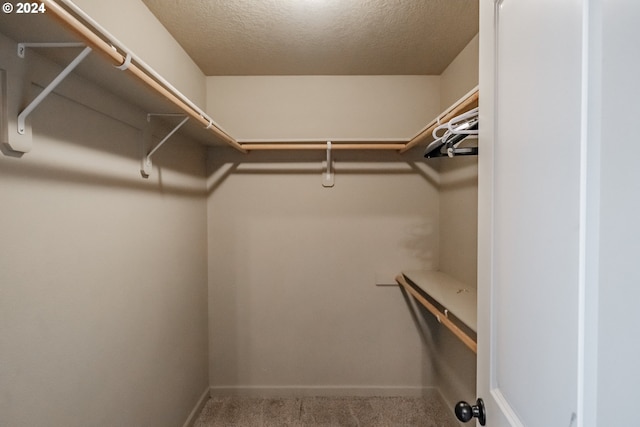 spacious closet with carpet