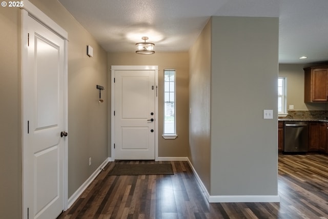 foyer entrance featuring dark wood-type flooring, plenty of natural light, and baseboards