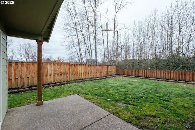 view of yard with a patio area and a fenced backyard