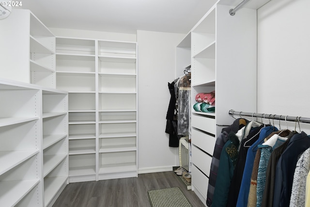 spacious closet featuring dark hardwood / wood-style flooring