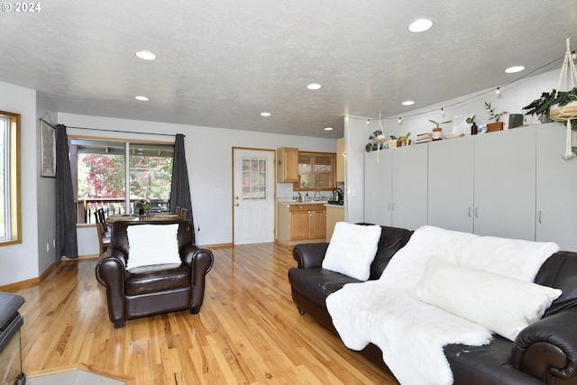 living room featuring light hardwood / wood-style floors and a textured ceiling