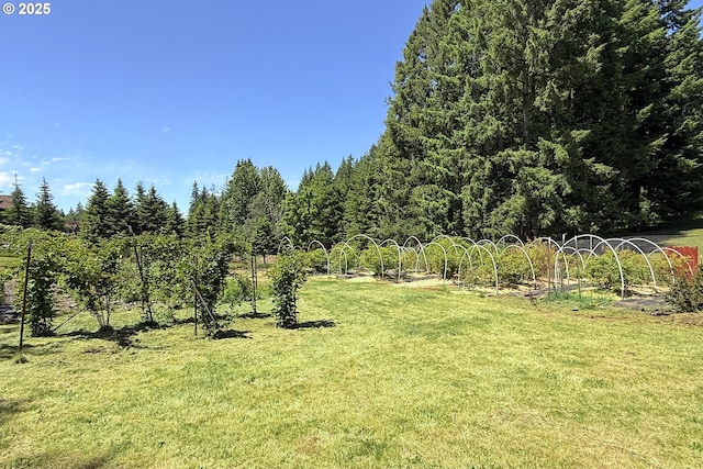 34603 SE Jarl Rd, Boring, OR 97009 - view of green lawn