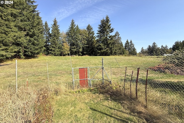 view of yard with a rural view