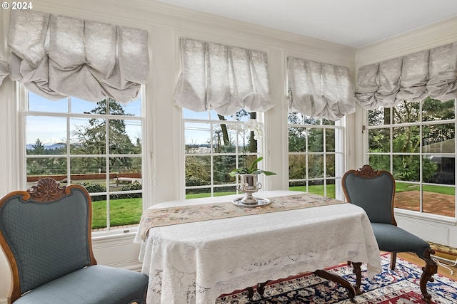 view of sunroom