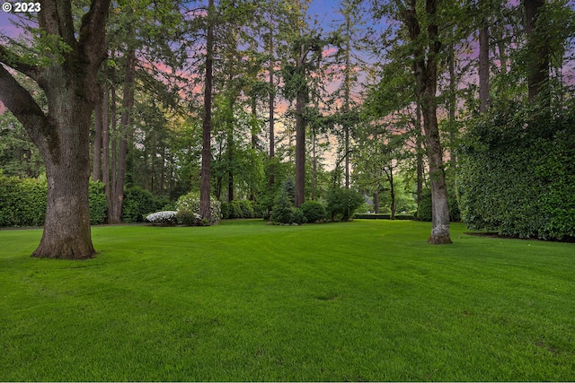 view of yard at dusk