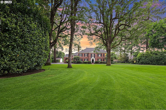 view of yard at dusk