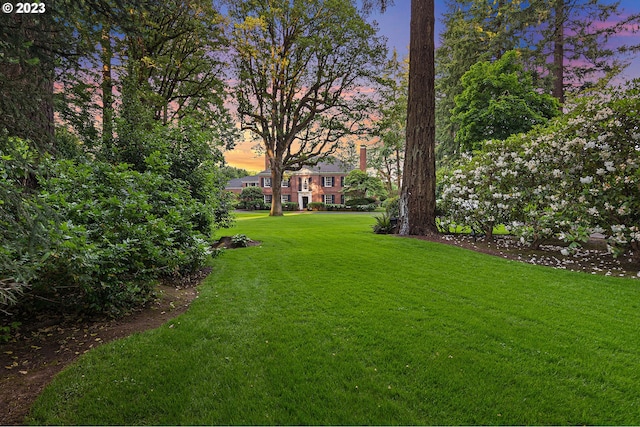 view of yard at dusk