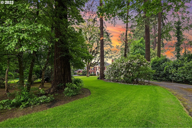 view of yard at dusk