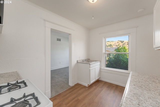 interior space with light wood-type flooring, crown molding, and sink